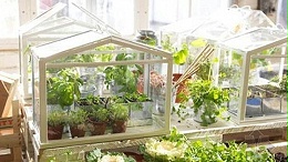 如何合理的建造陽(yáng)光板花房