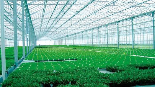 欣海采光瓦的工程應用